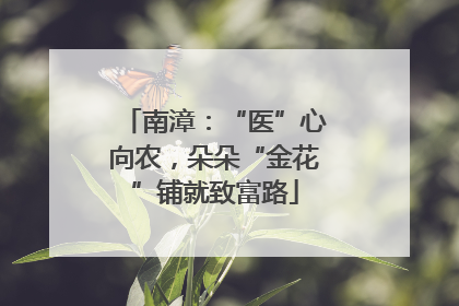 南漳：“医”心向农，朵朵“金花”铺就致富路
