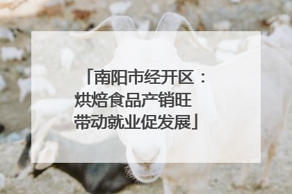 南阳市经开区：烘焙食品产销旺 带动就业促发展