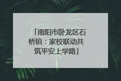 南阳市卧龙区石桥镇：家校联动共筑平安上学路