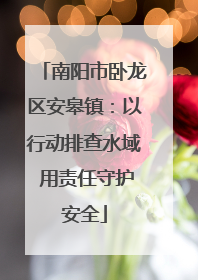 南阳市卧龙区安皋镇：以行动排查水域 用责任守护安全