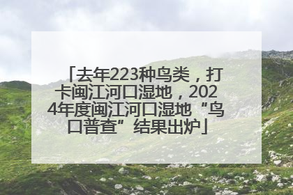 去年223种鸟类，打卡闽江河口湿地，2024年度闽江河口湿地“鸟口普查”结果出炉