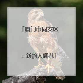 厦门市同安区：新韵入闾巷