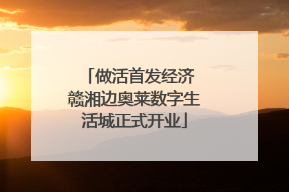做活首发经济 赣湘边奥莱数字生活城正式开业