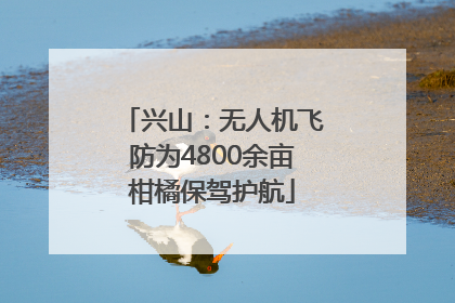 兴山：无人机飞防为4800余亩柑橘保驾护航