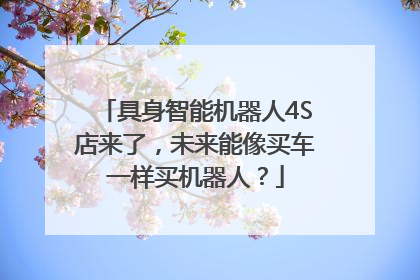 具身智能机器人4S店来了，未来能像买车一样买机器人？