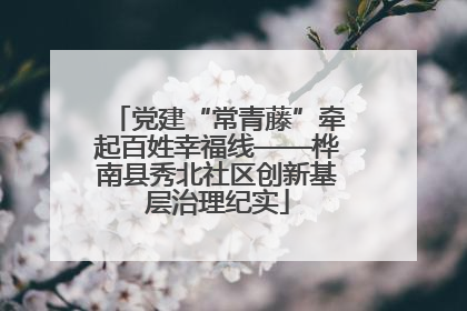 党建“常青藤”牵起百姓幸福线——桦南县秀北社区创新基层治理纪实