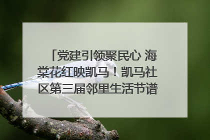 党建引领聚民心 海棠花红映凯马！凯马社区第三届邻里生活节谱写幸福新篇章
