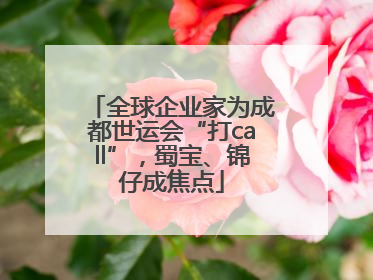 全球企业家为成都世运会“打call”，蜀宝、锦仔成焦点