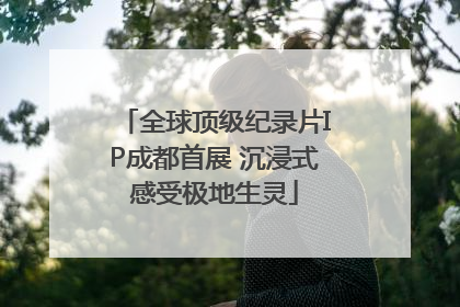全球顶级纪录片IP成都首展 沉浸式感受极地生灵