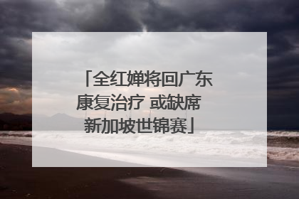 全红婵将回广东康复治疗 或缺席新加坡世锦赛