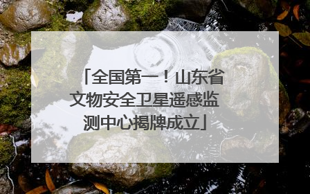 全国第一！山东省文物安全卫星遥感监测中心揭牌成立