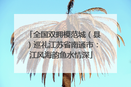 全国双拥模范城（县）巡礼江苏省南通市：江风海韵鱼水情深