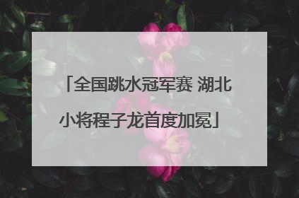 全国跳水冠军赛 湖北小将程子龙首度加冕