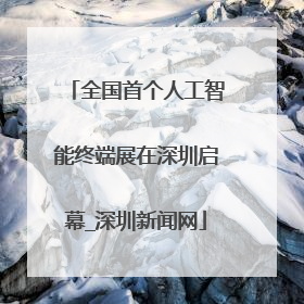 全国首个人工智能终端展在深圳启幕_深圳新闻网