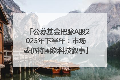 公募基金把脉A股2025年下半年：市场或仍将围绕科技叙事