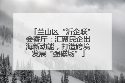 兰山区“沂企联”会客厅：汇聚民企出海新动能，打造跨境发展“强磁场”