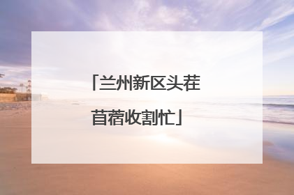 兰州新区头茬苜蓿收割忙