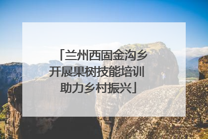 兰州西固金沟乡开展果树技能培训 助力乡村振兴