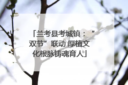 兰考县考城镇：“双节”联动 厚植文化根脉铸魂育人