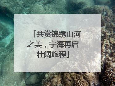 共赏锦绣山河之美，宁海再启壮阔旅程