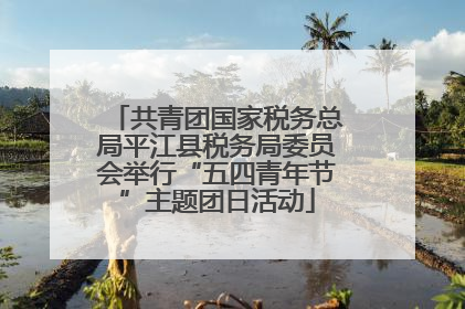 共青团国家税务总局平江县税务局委员会举行“五四青年节”主题团日活动