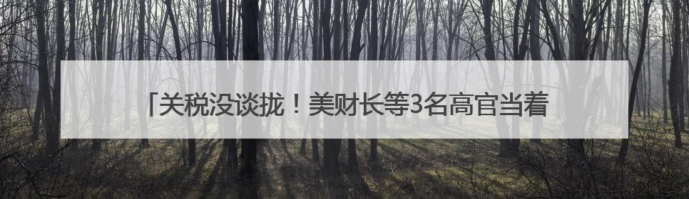 关税没谈拢！美财长等3名高官当着日方吵起来了，日本代表懵了！日方：希望实现石破茂与特朗普的会晤