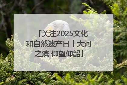关注2025文化和自然遗产日丨大河之滨 仰望仰韶