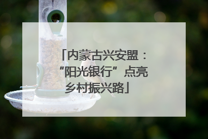 内蒙古兴安盟：“阳光银行”点亮乡村振兴路