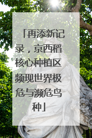 再添新记录，京西稻核心种植区频现世界极危与濒危鸟种