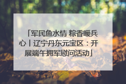 军民鱼水情 粽香暖兵心丨辽宁丹东元宝区：开展端午拥军慰问活动