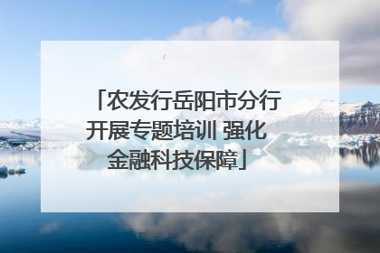 农发行岳阳市分行开展专题培训 强化金融科技保障
