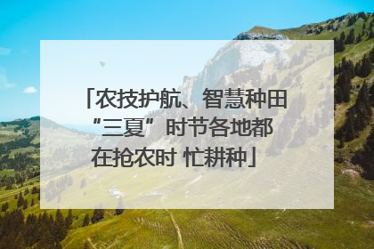 农技护航、智慧种田 “三夏”时节各地都在抢农时 忙耕种