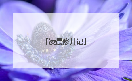 凌晨修井记