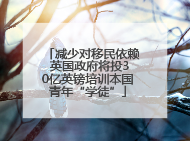 减少对移民依赖 英国政府将投30亿英镑培训本国青年“学徒”