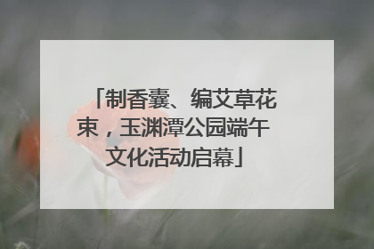 制香囊、编艾草花束，玉渊潭公园端午文化活动启幕
