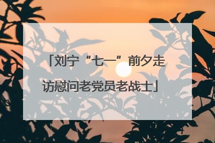 刘宁“七一”前夕走访慰问老党员老战士