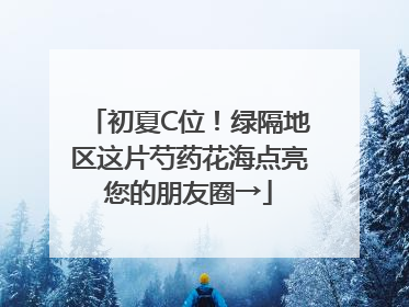 初夏C位！绿隔地区这片芍药花海点亮您的朋友圈→