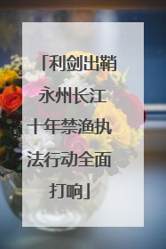 利剑出鞘 永州长江十年禁渔执法行动全面打响