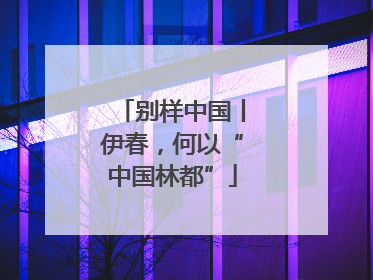 别样中国丨伊春，何以“中国林都”