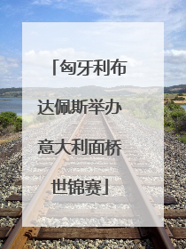 匈牙利布达佩斯举办意大利面桥世锦赛