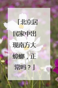 北京居民家中出现南方大蟑螂，正常吗？