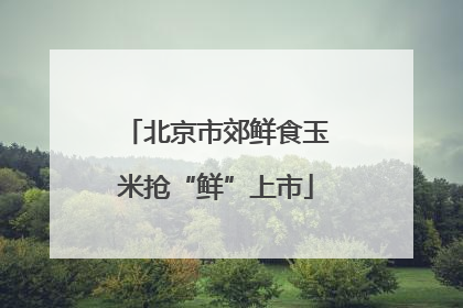 北京市郊鲜食玉米抢“鲜”上市