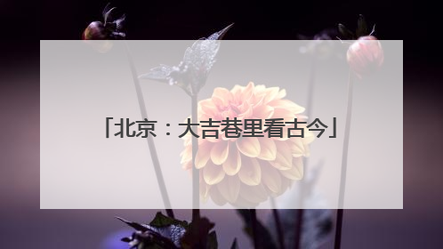 北京：大吉巷里看古今
