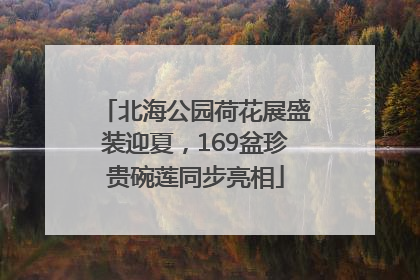 北海公园荷花展盛装迎夏，169盆珍贵碗莲同步亮相