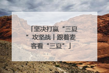 坚决打赢“三夏”攻坚战丨跟着麦客看“三夏”
