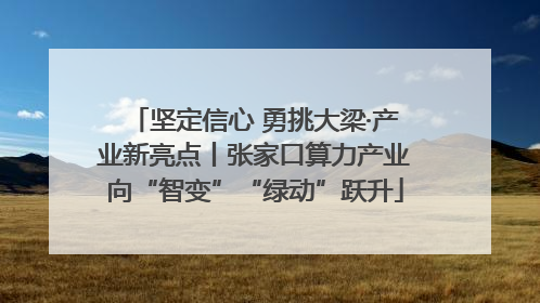 坚定信心 勇挑大梁·产业新亮点丨张家口算力产业向“智变”“绿动”跃升