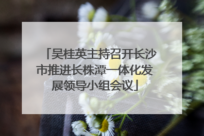 吴桂英主持召开长沙市推进长株潭一体化发展领导小组会议