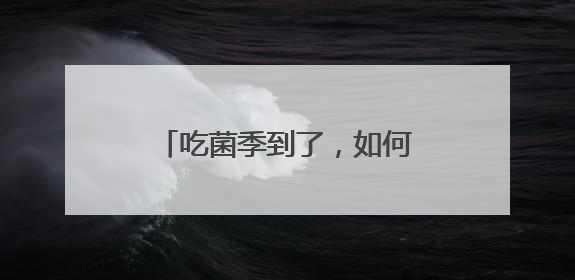 吃菌季到了，如何吃得开心又放心？