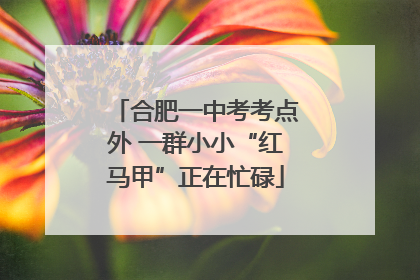 合肥一中考考点外 一群小小“红马甲”正在忙碌