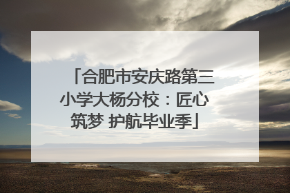 合肥市安庆路第三小学大杨分校：匠心筑梦 护航毕业季